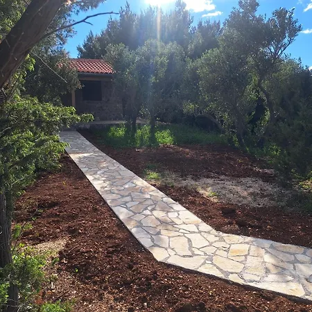 Robinson House Soline