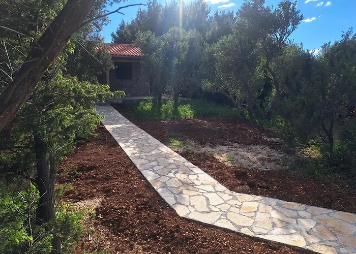 Robinson House Soline