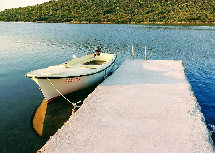 Robinson House Soline